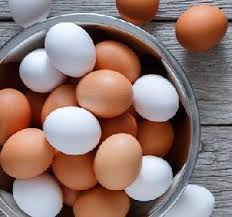 Uttarakhand egg rate today