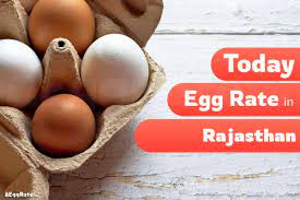 Egg rate today rajasthan